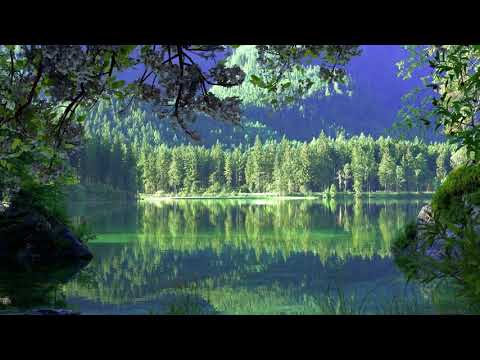 Acalmar a Mente Inquieta - Música Relaxante para Tranquilizar Pensamentos Acelerados - Descontrair