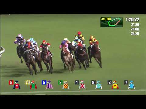 22/9/2021 (48) Red Majesty - Z Purton