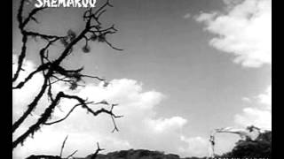 HAWA MEIN UDTA JAAYE MORA -LATA - YouTube
