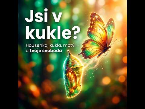 Jsi v kukle? Tohle se tam uvnitř děje