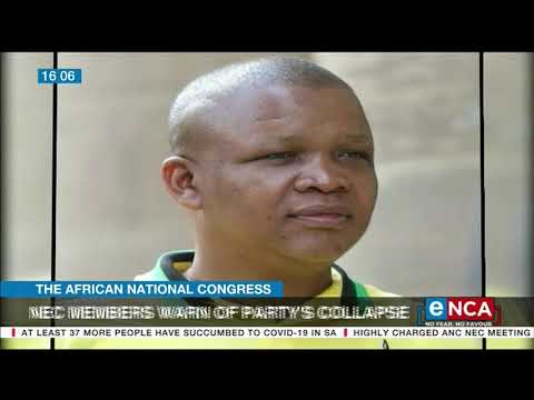 The African National Congress NEC member warn of party's collapse