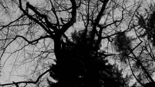 GRAVEWORM-aeons of desolation