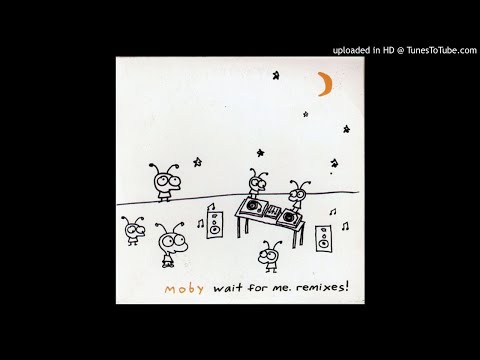 Moby - Wait For Me [Paul Kalkbrenner Remix]