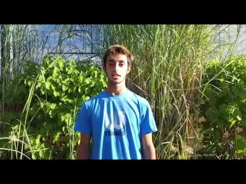 Thiago Tirante - Wild card para la qualy del #ChTigre