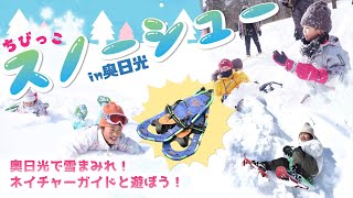 株式会社日光自然博物館