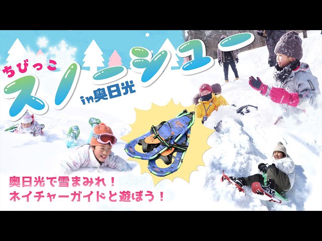 株式会社日光自然博物館