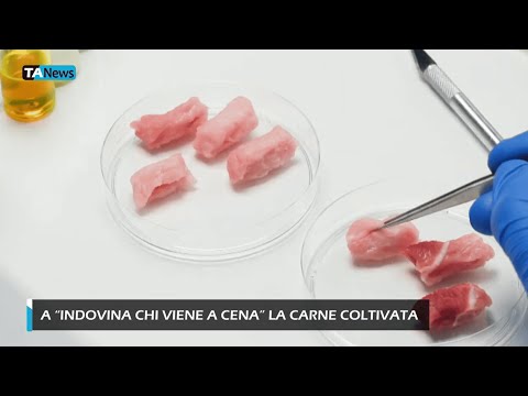 A "Indovina chi viene a cena" la carne coltivata
