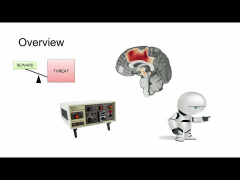 Getting To Know The Anxious Brain | Inaugural Lecture by Professor Oliver Robinson