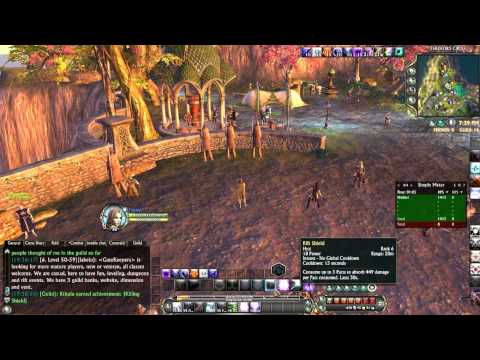 Rift 2.5 - 51 Void Knight Warrior Tanking Guide