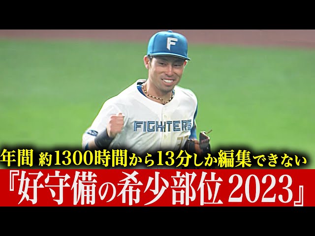【約1300時間から】超レアです…『好守備の希少部位2023』【たった13分】
