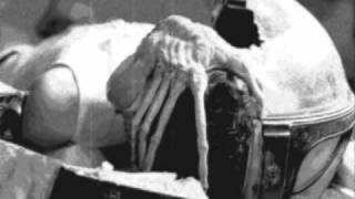 Haujobb - Homes &amp; Gardens (2009 Version)