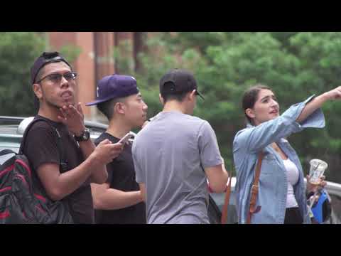 adidas "originals x alexander wang season2 the fashion dealer"