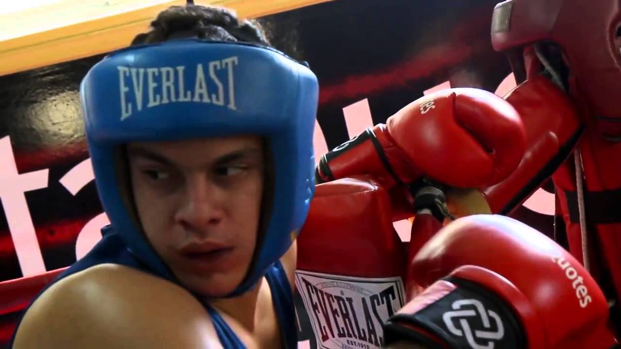 METAQUOTES CHAMP BOXING ACADEMY SHORT VERSION