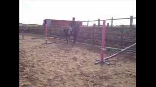 preview picture of video 'Grid Jumping lesson - Horse Riding'