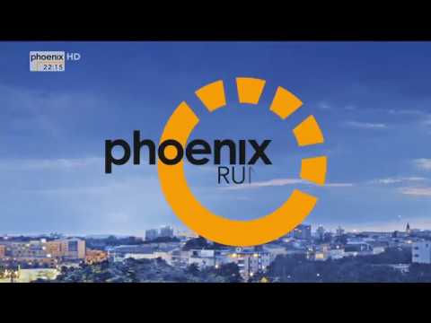 phoenix Runde: "Zwischen Obergrenze und Einwanderungsgesetz - Was bringt Jamaika?" am 09.11.17