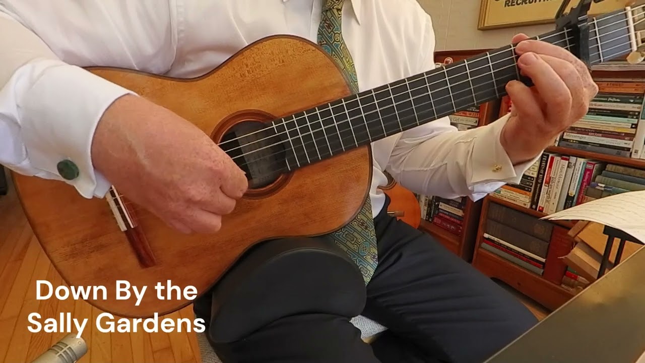 Promotional video thumbnail 2 for Classical Guitarist - Derek Macrae