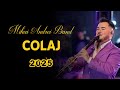 MIHAI ANDREI BAND COLAJ INSTRUMENTALE CLARINET 2025