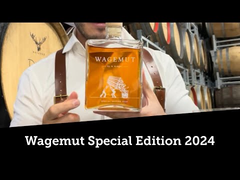 Video review: N. Kröger Foursquare Wagemut Special Edition 2024 2007