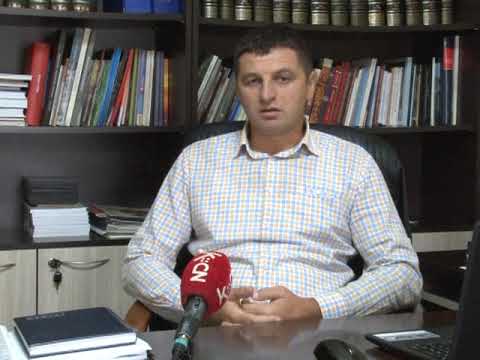 Dani Milunke Savic 2019