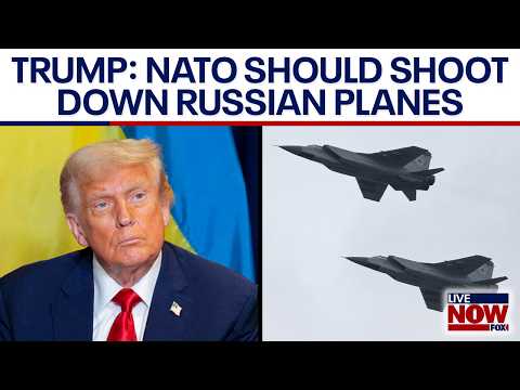 Video | Trump says NATO countries should shoot down Russian aircraft if it enters their airspace