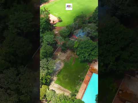 PARQUE DA GRUTA - ORLÂNDIA-SP #shorts