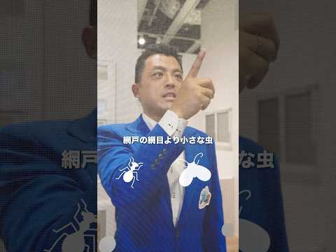 １分解説！虫の侵入を防ぎたいならコレ！#shorts
