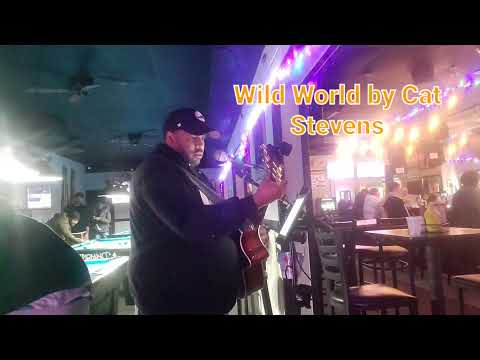 Wild World by Cat Stevens demo cover by Rondie James