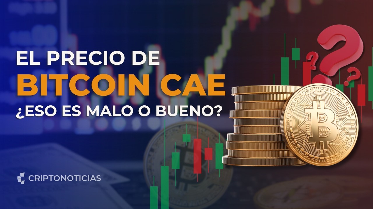¿Es malo que el Precio de Bitcoin caiga? ¿Bajo qué perspectiva puede ser bueno? | CriptoNoticias