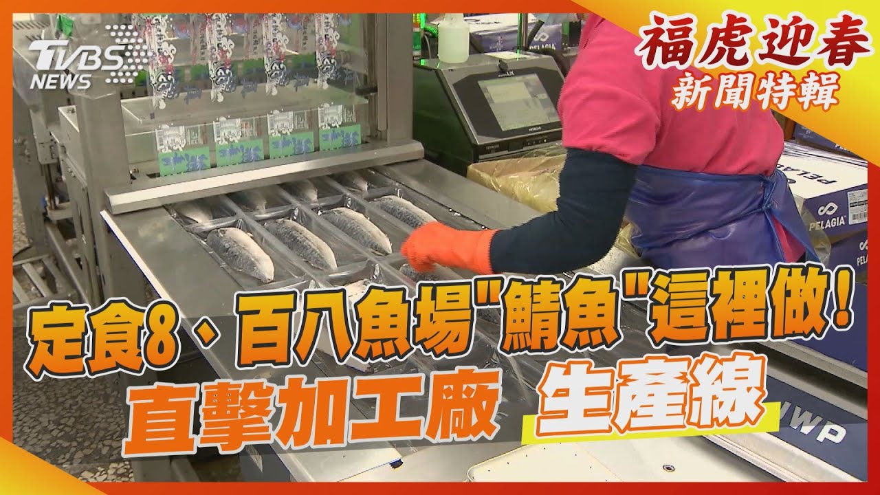 定食8、百八魚場「鯖魚」這裡做! 直擊加工廠生產線