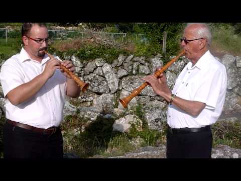 L.van Beethoven: ODE TO JOY in Istrian scale (Croatia); ODA RADOSTI u istarskoj ljestvici