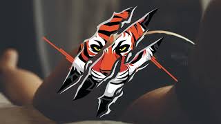 YBN Almighty Jay &quot;2 Tone Drip&quot; (Bass Boosted)