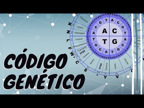 O CÓDIGO GENÉTICO | Aula 7. Biologia Molecular