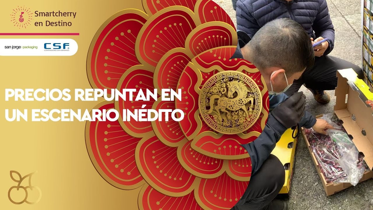 Último gran volumen antes del Año Nuevo Chino pone a prueba al mercado de la cereza