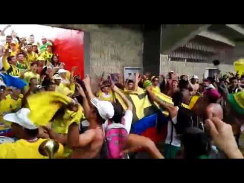 La Fortaleza Leoparda llego otras vez... Bmanga Vs Tulua - 12-Ago-2017