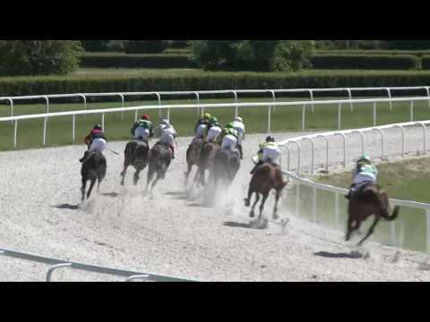2017.05.28. 2. futam - NYERETLENEK VERSENYE (V.kat.) (szintetikus pálya)