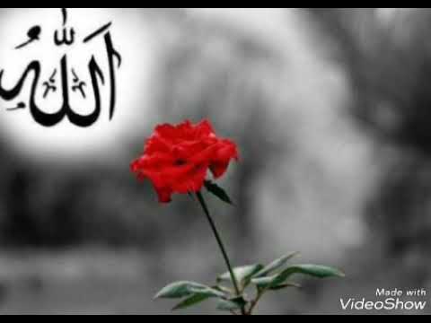 (Yıllarca özledim ben muhammedi) ilahisi full