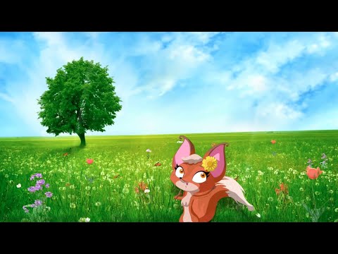 La volpe Sophia e la pazienza