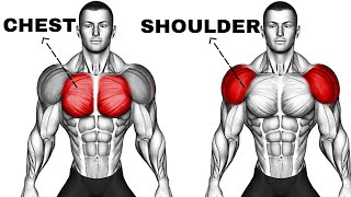 Top 5 Chest and Shoulder Workout to Grow Muscles