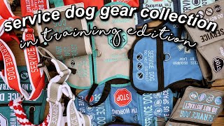 service dog gear collection || in training edition! :)