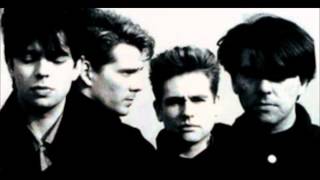 Echo And The Bunnymen - Ripeness