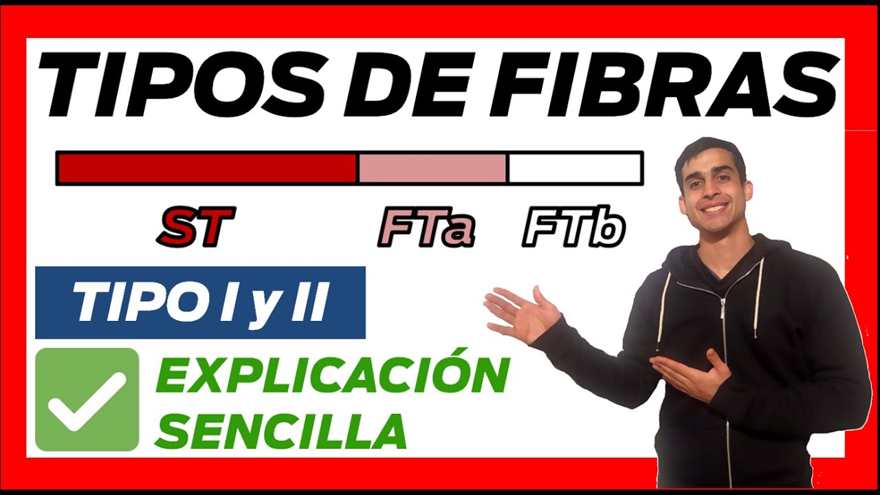 FIBRAS ST y FT 💪 TIPOS DE FIBRAS MUSCULARES 1 y 2 ▶ rojas y blancas rapidas y lentas