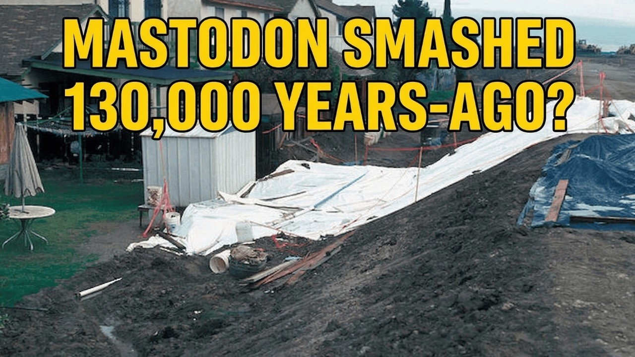 This Mastodon Site Is 130,000 Years Too Early