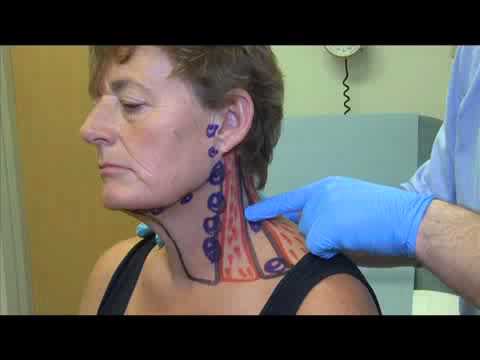 Examination of the neck