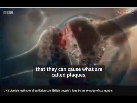 Air Quality and it’s affects on your health BBC