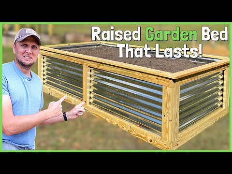 How To Build A Large Raised Garden Bed Out of Wood and Corrugated Steel!