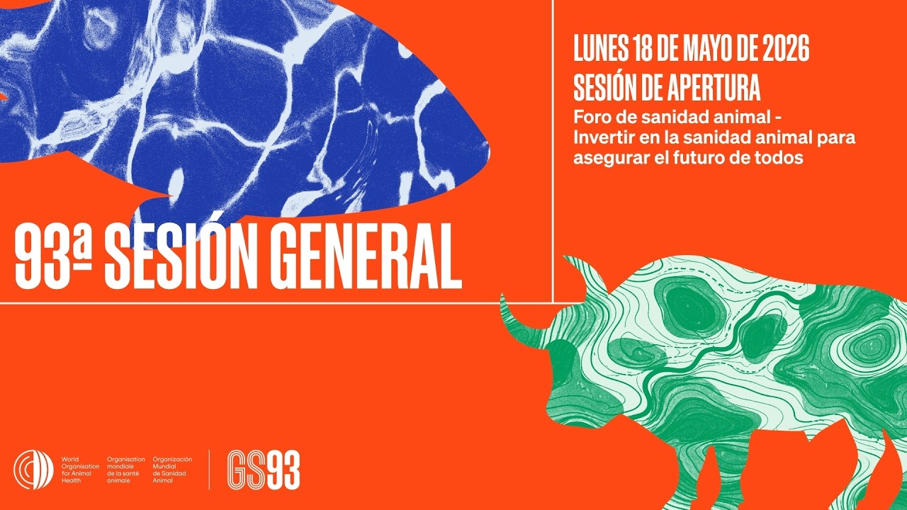 EN VIVO: Apertura y panel de alto nivel sobre la inversión en sanidad animal, 93ª Sesión General