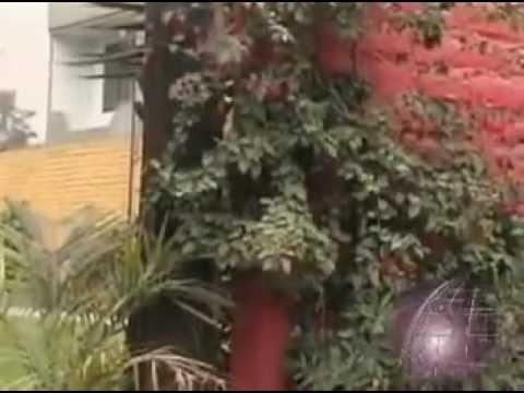 Santiago Montoya — La casa del sol naciente