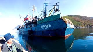 Рыболовный сейнер рс - 600