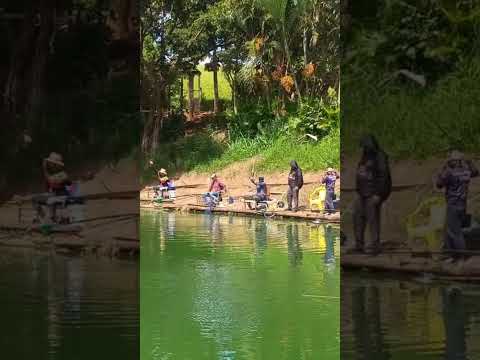 pesqueiro do Márcio na diária em Elias Fausto #shorts #shortvideo #pesca