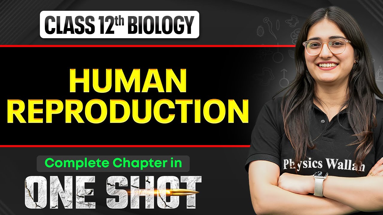 Human Reproduction Class 12 One Shot 🔥| NCERT Full Revision + PYQs | Biology Chapter 2 | VIJETA 2026